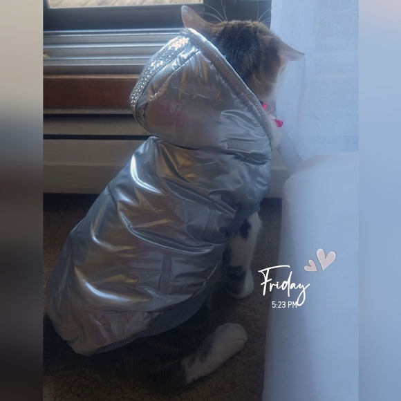 Pet Winter Coats - Picture 3 of 4